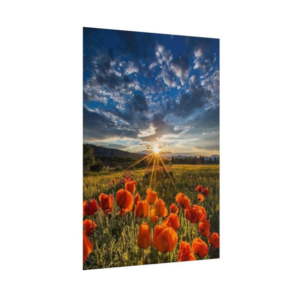 101894-162.jpg Sunset in Field With Red Wild Flowers Poster