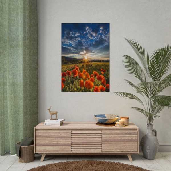 101894-163.jpg Sunset in Field With Red Wild Flowers Poster