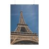 101894-21.jpg Eiffel Tower in Paris II Poster