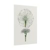 101894-87.jpg Hand Drawn White Blood Lily Poster