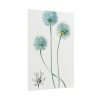101894-92.jpg Blue Leek from Edwards’s Botanical Register Poster
