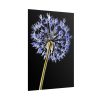 101894-97.jpg Dandelion on Black Poster