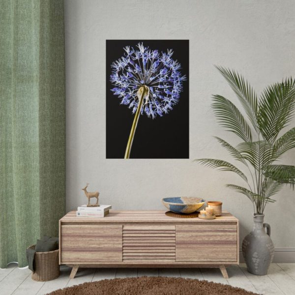 101894-98.jpg Dandelion on Black Poster