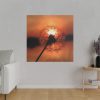 102212-10.jpg Dandelion in Sunset Standard Canvas