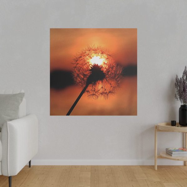 102212-10.jpg Dandelion in Sunset Standard Canvas
