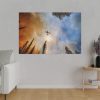 82227-122.jpg Summit Trail Fire Standard Canvas