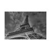 82227-13.jpg Gray Image of Eiffel Tower, Paris Standard Canvas