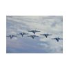 82227-133.jpg Two KC-135R Stratotankers Standard Canvas