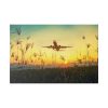 82227-145.jpg Grass, Sky, Nature, Airport Standard Canvas