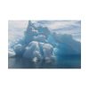 82227-165.jpg Polar Ice Caps Standard Canvas