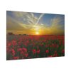 82227-196.jpg Flower Field in Sunset Standard Canvas