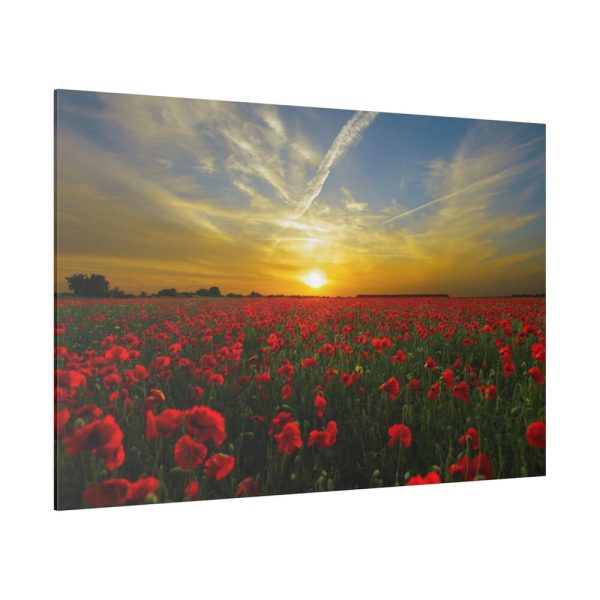 82227-196.jpg Flower Field in Sunset Standard Canvas
