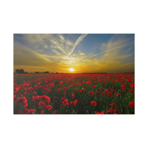 82227-197.jpg Flower Field in Sunset Standard Canvas