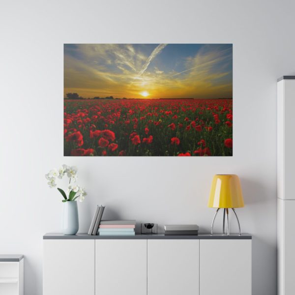 82227-199.jpg Flower Field in Sunset Standard Canvas