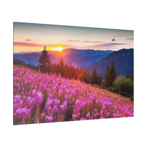 82227-216.jpg Sunlight Afterglow Standard Canvas
