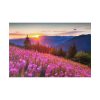 82227-217.jpg Sunlight Afterglow Standard Canvas