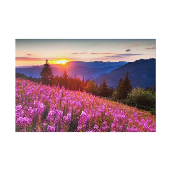 82227-217.jpg Sunlight Afterglow Standard Canvas