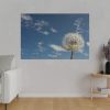 82227-50.jpg Dandelion and Blue Sky Standard Canvas