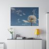 82227-51.jpg Dandelion and Blue Sky Standard Canvas