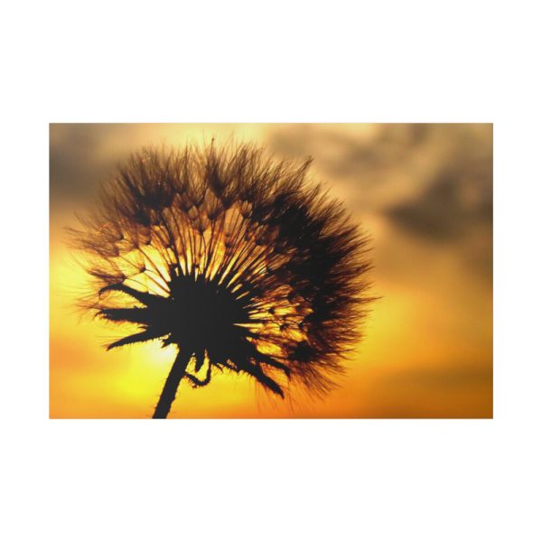 Dandelion and Sunset Standard Canvas