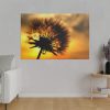 Dandelion and Sunset Standard Canvas