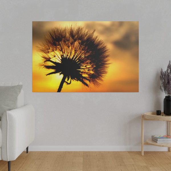 Dandelion and Sunset Standard Canvas