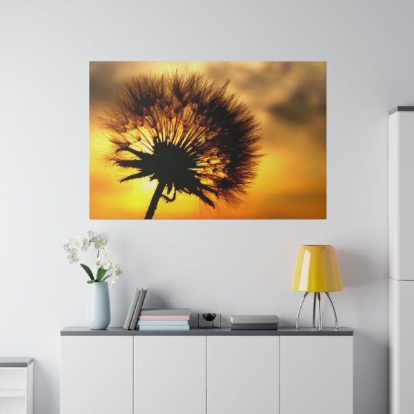 Dandelion and Sunset Standard Canvas