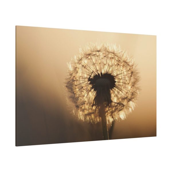82227-56.jpg Dandelion on Yellow Day Standard Canvas