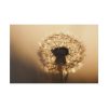 82227-57.jpg Dandelion on Yellow Day Standard Canvas