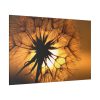 Closeup Dandelion Standard Canvas