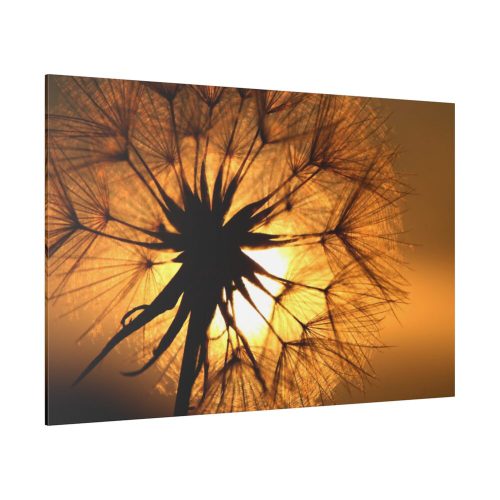 Closeup Dandelion Standard Canvas