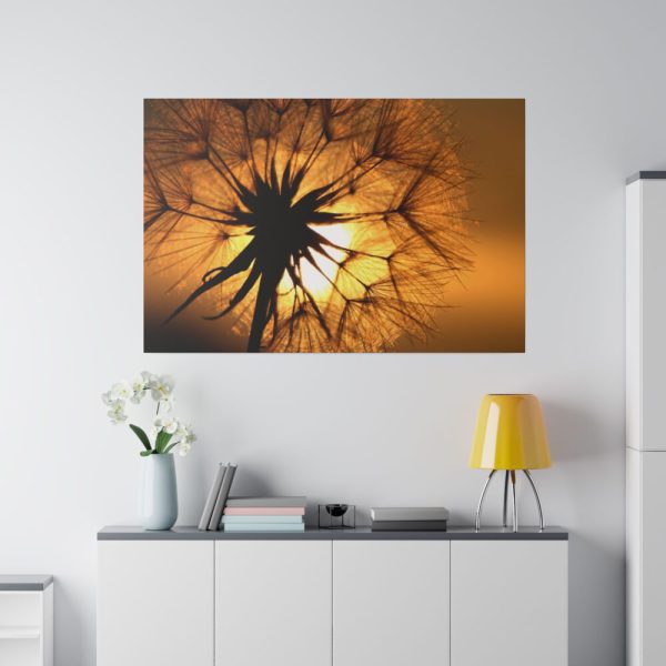 Closeup Dandelion Standard Canvas