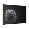 82227-64.jpg Dandelion Background Standard Canvas