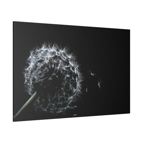82227-64.jpg Dandelion Background Standard Canvas