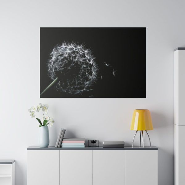 82227-67.jpg Dandelion Background Standard Canvas