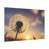 82227-68.jpg Dandelion Blossom Flower II Standard Canvas
