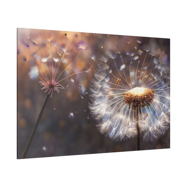 82227-76.jpg Dandelion Seeds Flower Head in Close Up Standard Canvas