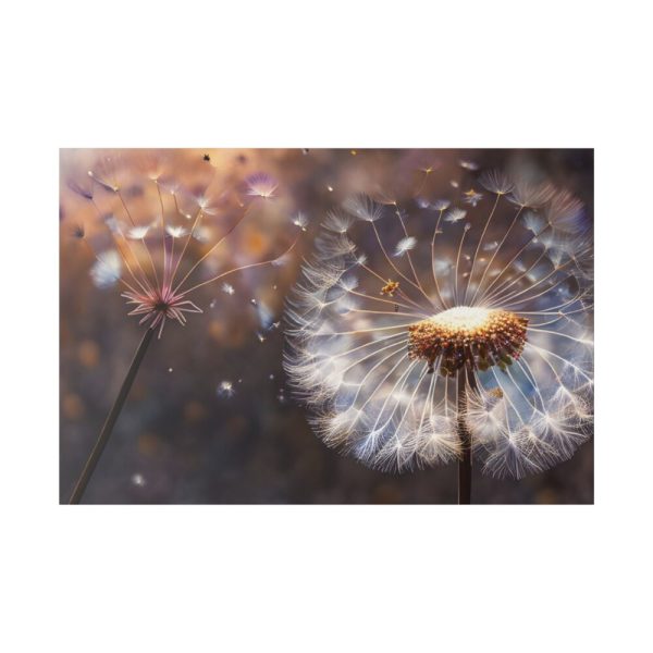 82227-77.jpg Dandelion Seeds Flower Head in Close Up Standard Canvas