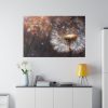 82227-79.jpg Dandelion Seeds Flower Head in Close Up Standard Canvas