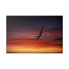 82227-93.jpg Plane On the Sky Standard Canvas