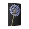 82237-32.jpg Dandelion on Black Standard Canvas