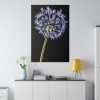 82237-35.jpg Dandelion on Black Standard Canvas