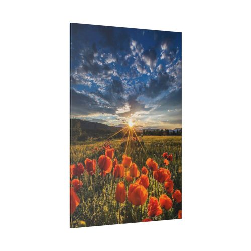 Sunset in Field With Red Wild Flowers Standard Canvas