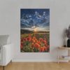 82237-62.jpg Sunset in Field With Red Wild Flowers Standard Canvas