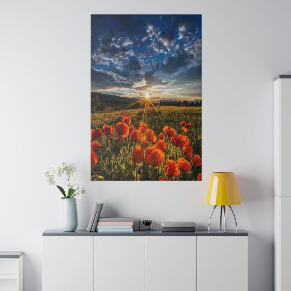 82237-63.jpg Sunset in Field With Red Wild Flowers Standard Canvas