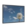 88289-125.jpg Dandelion and Blue Sky Framed Canvas