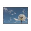 88289-126.jpg Dandelion and Blue Sky Framed Canvas