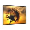 88289-130.jpg Dandelion and Sunset Framed Canvas