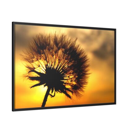 Dandelion and Sunset Framed Canvas