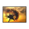 88289-131.jpg Dandelion and Sunset Framed Canvas